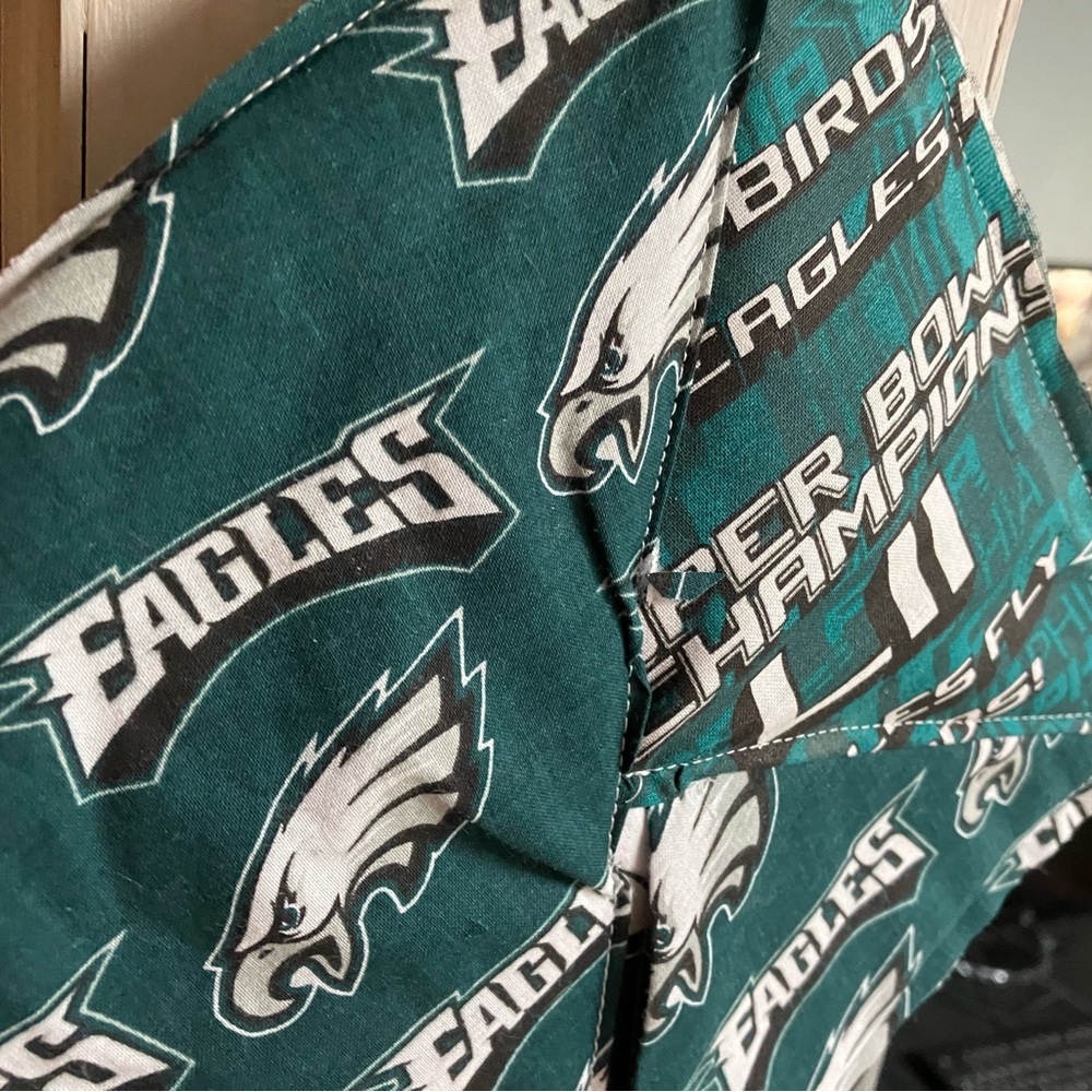 Eagles hand sewn pot holder hanging